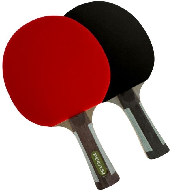 Pegasi tafeltennisbatje 6 ster Expert afbeelding