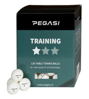 Pegasi 1 ster pingpong ballen 120st. Wit