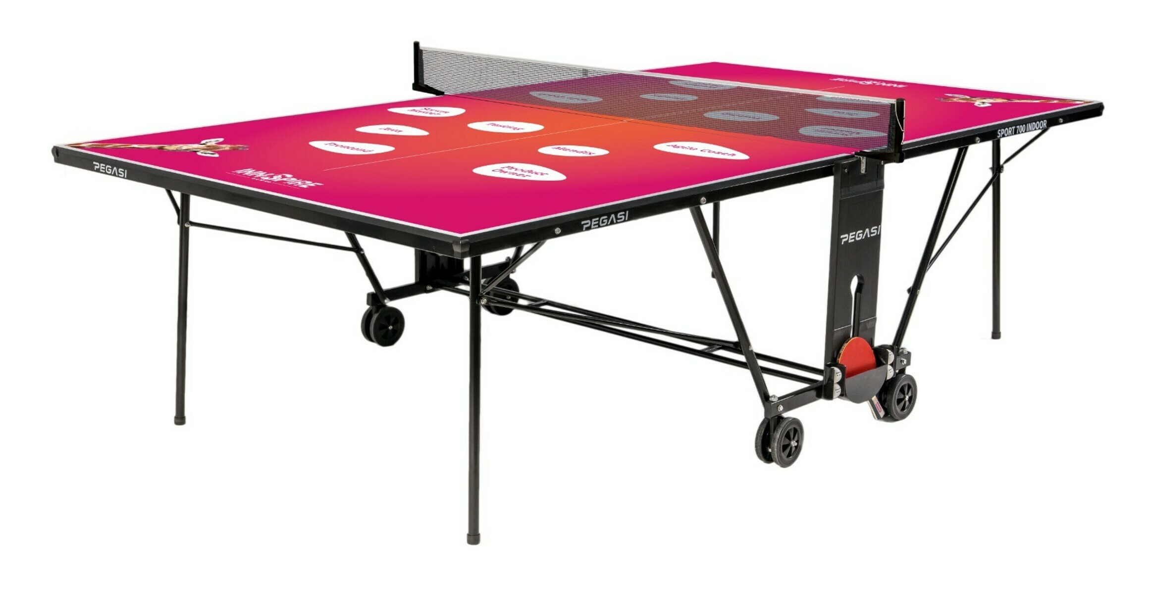 Bedrukte tafeltennistafel Pegasi 700 Indoor afbeelding