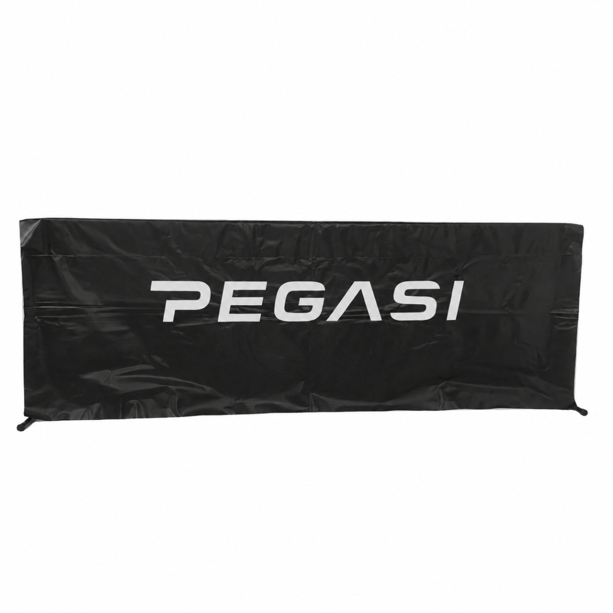 Pegasi tafeltennis speelveldafzetting
